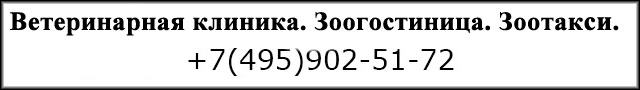 Ветеринарная клиника