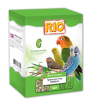 Rio - травка для проращивания