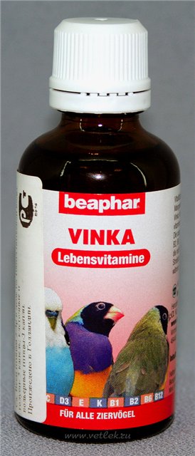 какие витамины давать попугаю волнистому