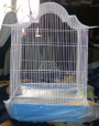 Home ZOO клетка для волнистых попугаев